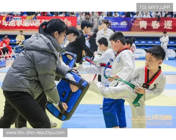 跆拳道学院加强青少年训练营的心理疏导体系,青少年跆拳道训练方法探究