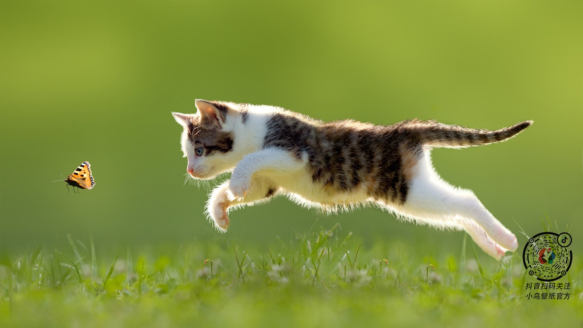 深圳领航队通过精准引援提升竞争实力，深圳领航者青年队领队