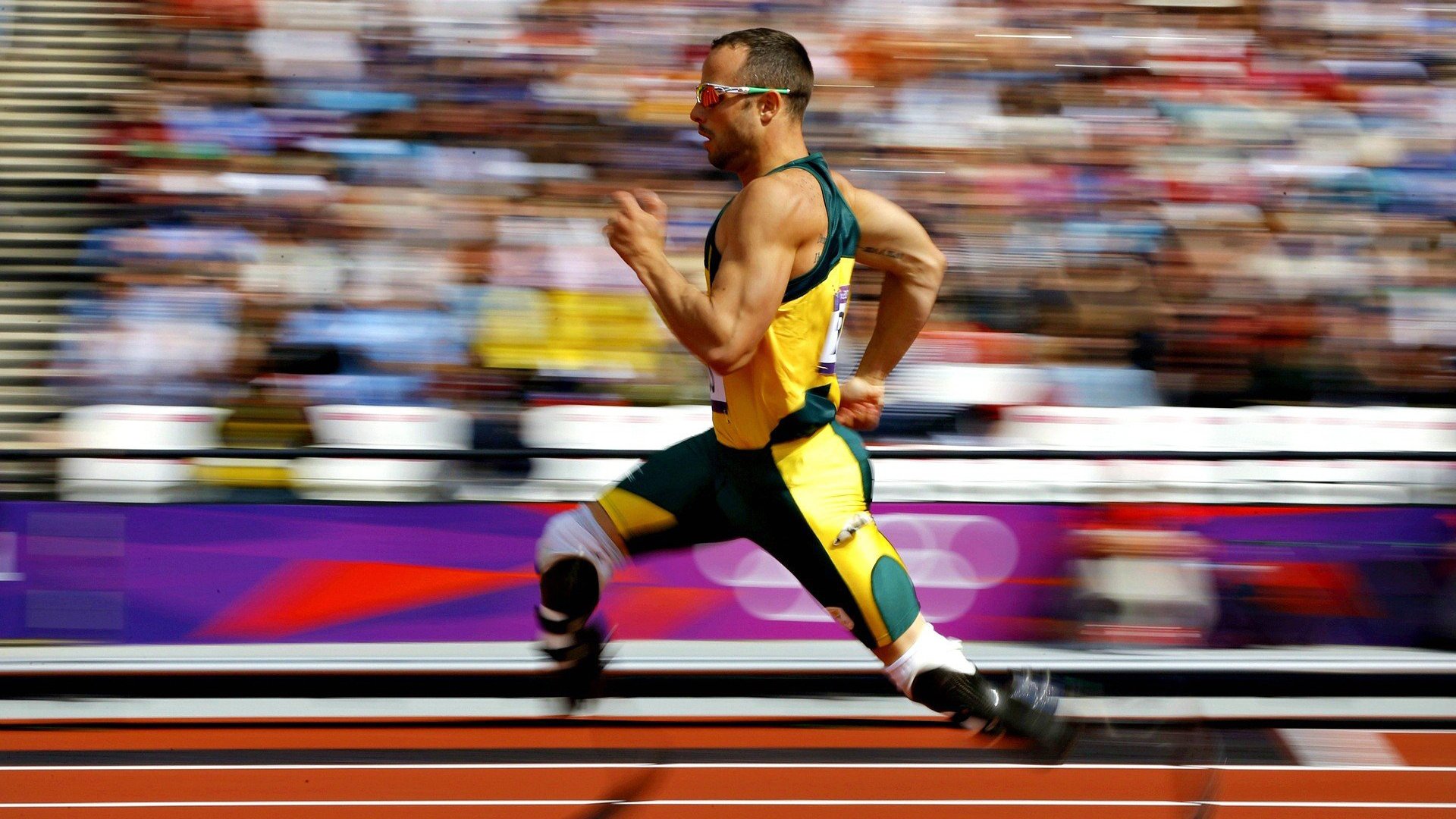 世界杯期间旅游业的增长，世界杯之旅