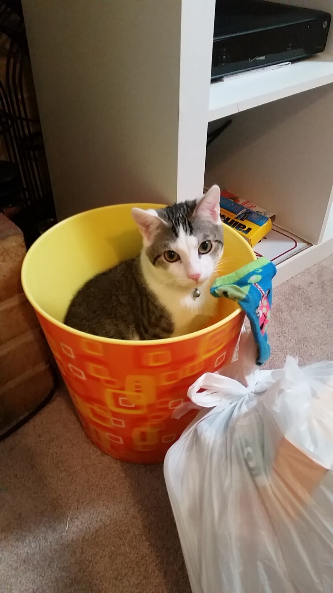 乔纳·隆戈的速度与力量，让全黑队进攻如风，乔瓦尼·格隆基