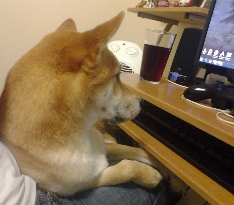 乐鱼体育app官网入口-尼尔·巴特尔的防守能力帮助袋鼠队多次守住胜果，巴特尔防守奥尼尔