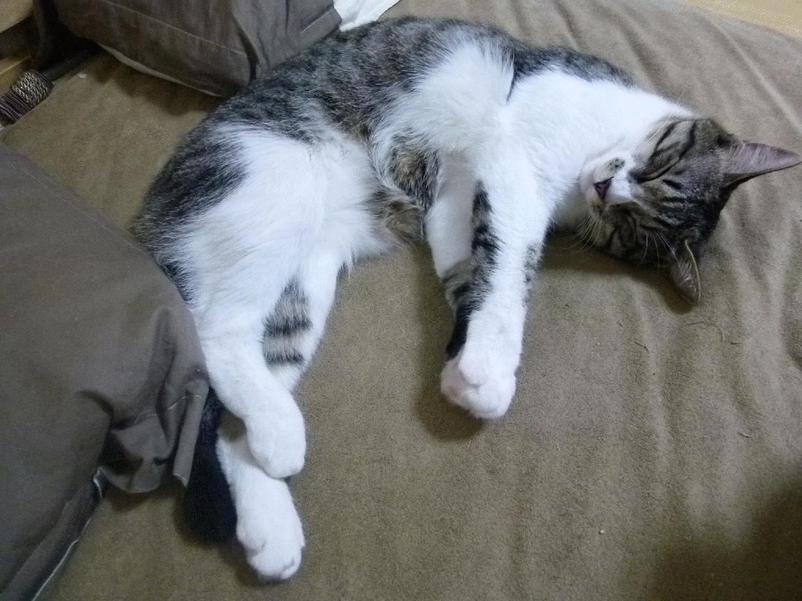 乐鱼体育app官网下载-张伟丽与粉丝互动大方分享护肤心得，张伟丽化妆