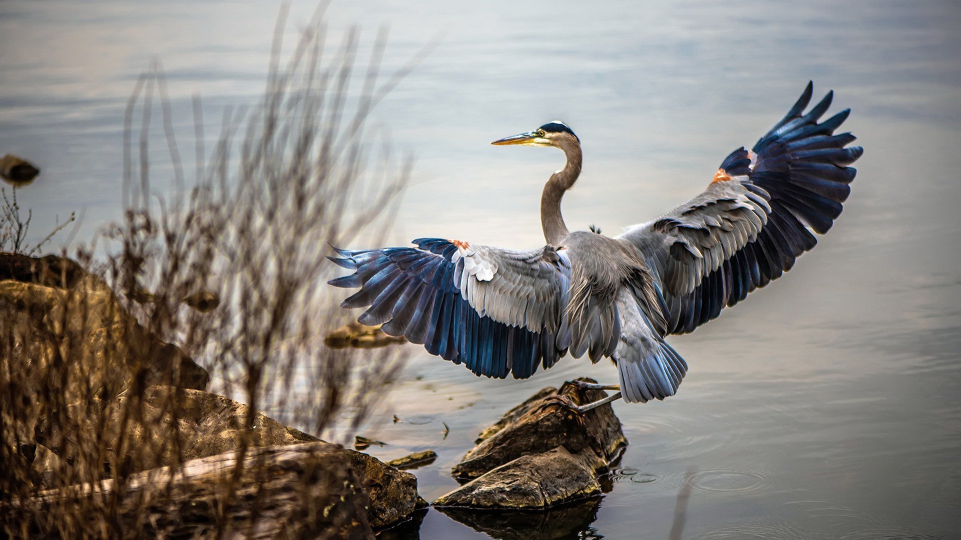校园足球联合高校体育系开展研究型训练课程,高校足球开展现状研究