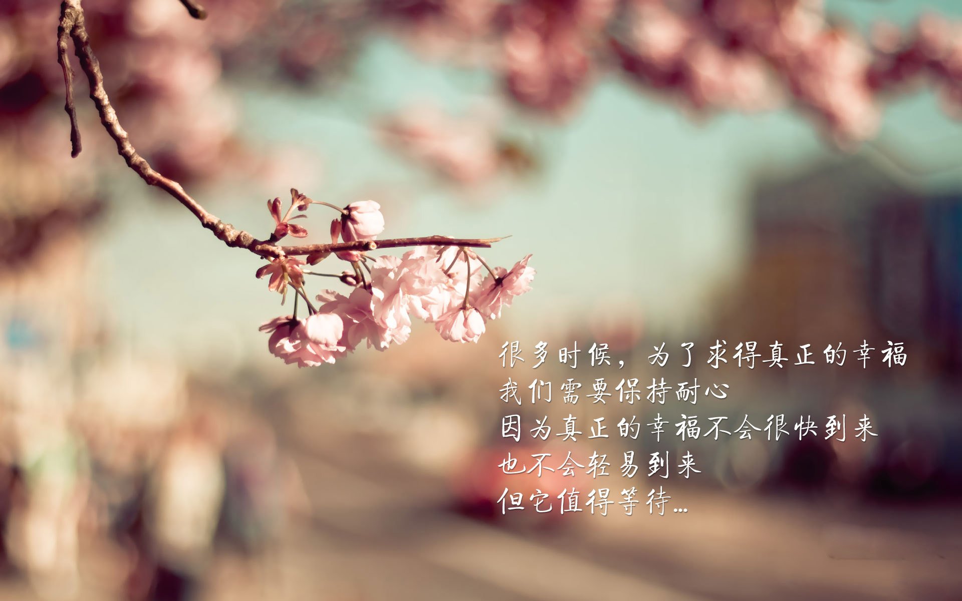 乐鱼体育app官网入口-法甲地区新星：未来巨星今天崛起！，法甲球队实力定位